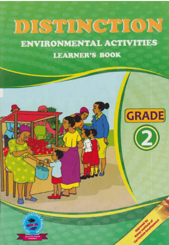 Cover of Distinction Environmental Activities - Rationalised Edition