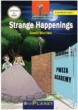 Cover of Strange Happenings