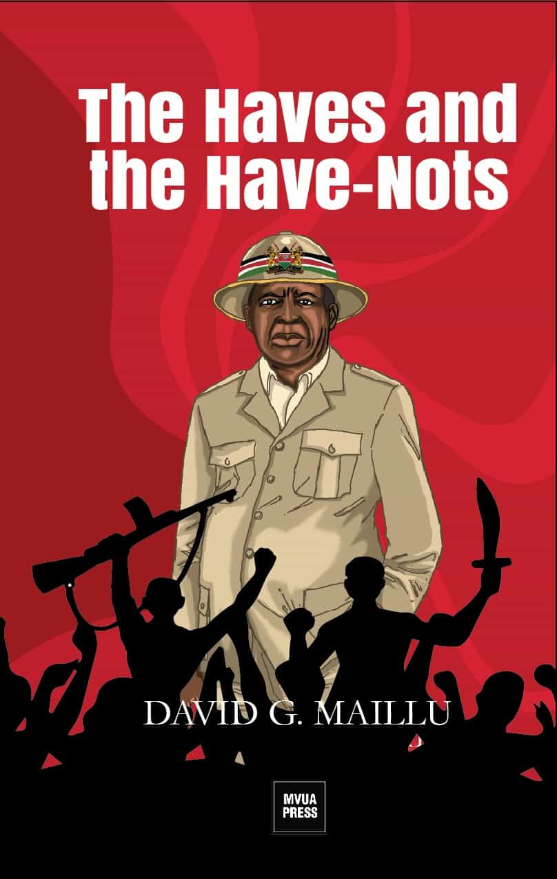 Cover of The Haves and the Have-Nots