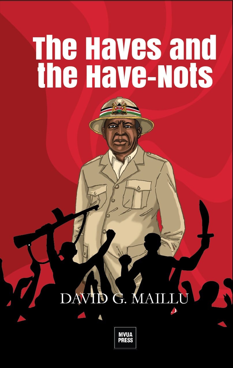 Cover of The Haves and the Have-Nots